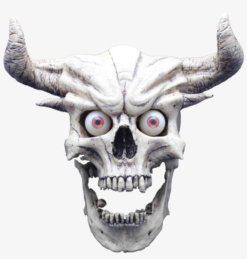 Skull Without Jaw Png - Skull, transparent png