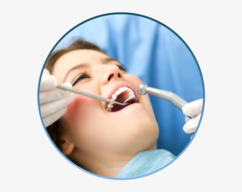Dental - Dental Holistic, transparent png