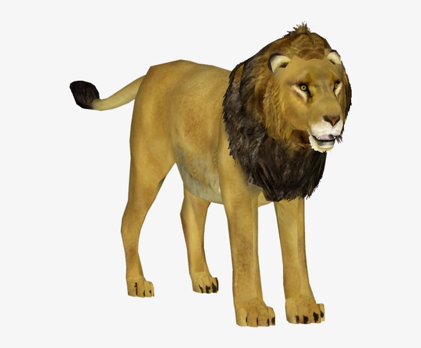 Asiatic Lion M - Zoo Tycoon Asiatic Lion, transparent png