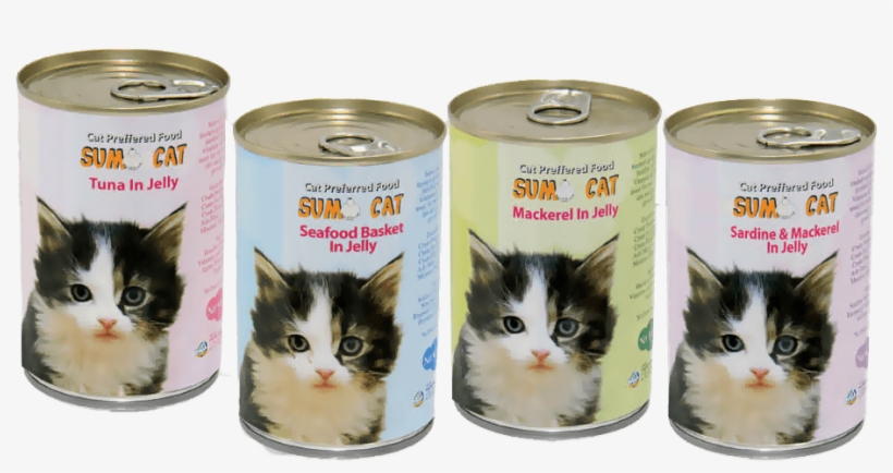 Sumo Cat - Kitten, transparent png