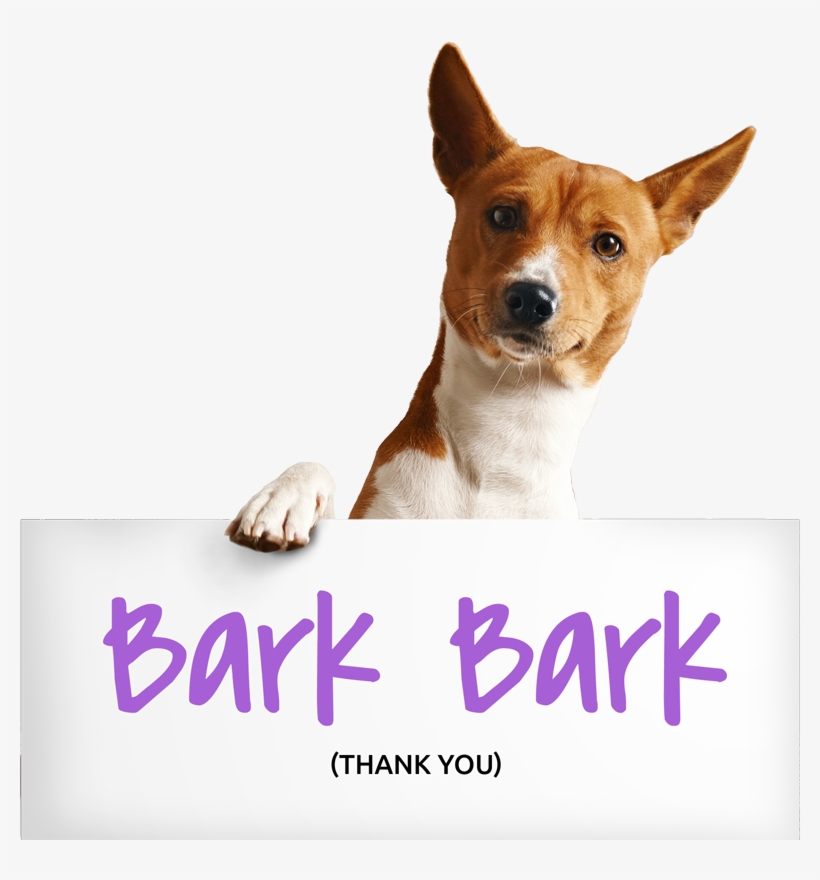 Thank You For Reaching Out To Us - Bar, transparent png