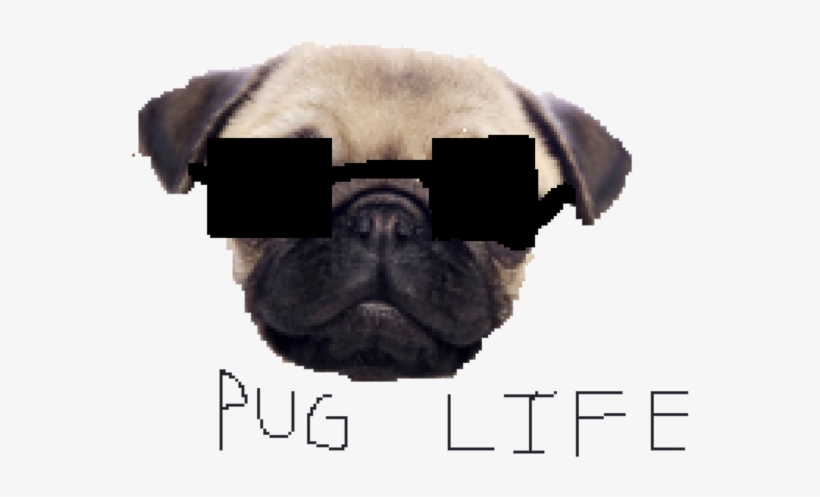 Pug Life Png Clipart - Pug Life Transparent Background, transparent png