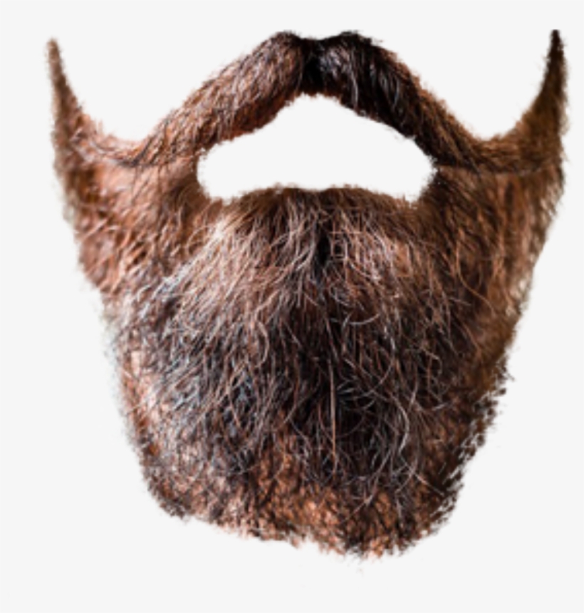 Beard Transparent - Beard Png, transparent png