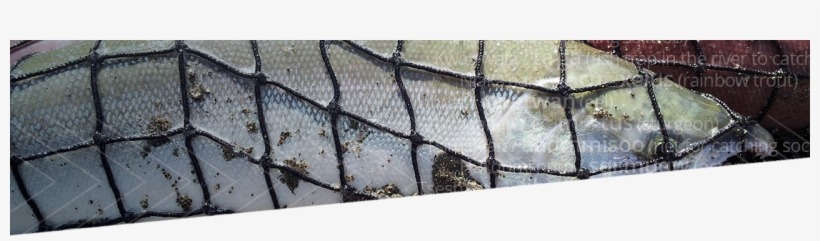 Chain-link Fencing, transparent png