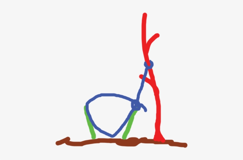 The Standard Handmade Trap, It Is Essentially A Noose, transparent png