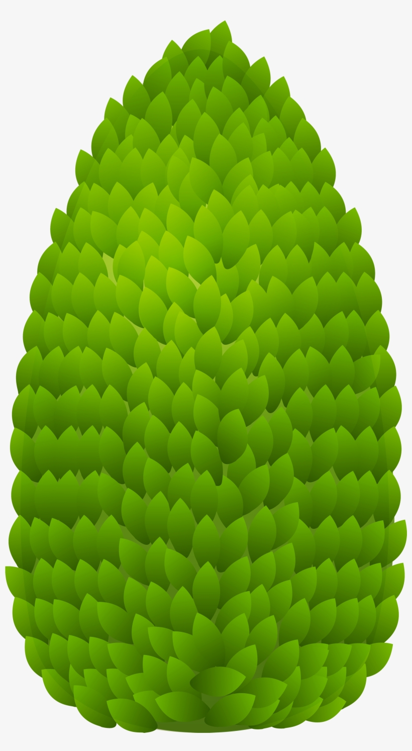 Outdoor Plant Png Clipart - Outdoor Plant Clipart Png, transparent png