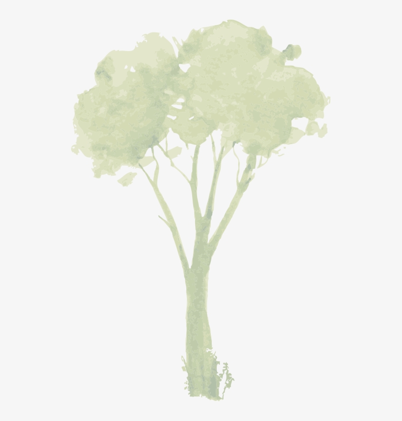 Tree, transparent png