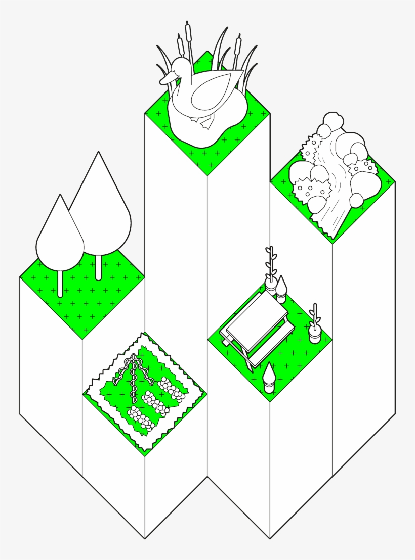 Pl Planteverything Illo 01 01 - .pl, transparent png