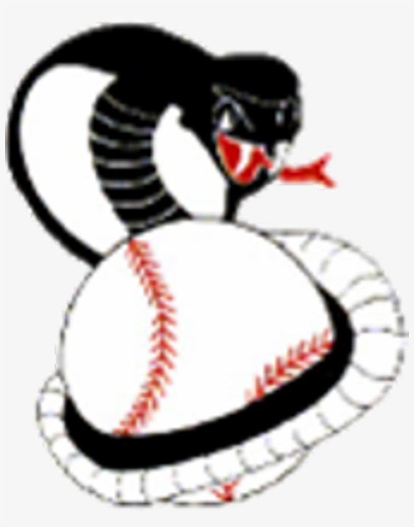 Columbus Cobras Baseball - Columbus Cobras, transparent png