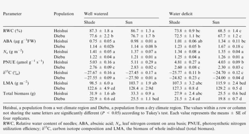 The Effects Of Water Deficit And Light On Pnue, Photosynthetic, transparent png