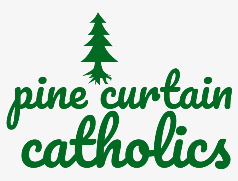 Pine Curtain -logo - Sunshine Soul Pillow Case, transparent png