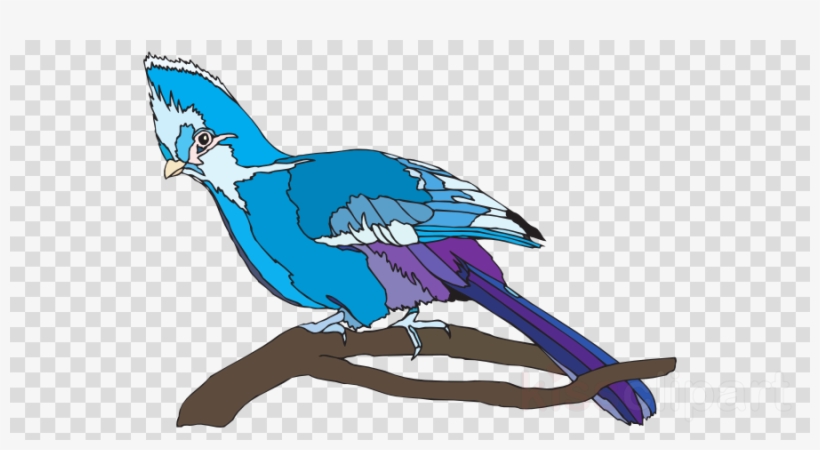 Wrong Clipart Royalty-free Clip Art - Clip Art, transparent png