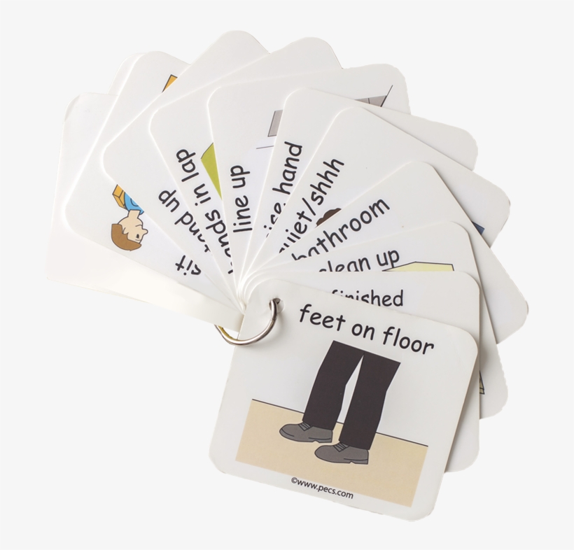Show And Go - Educational Consultant, transparent png