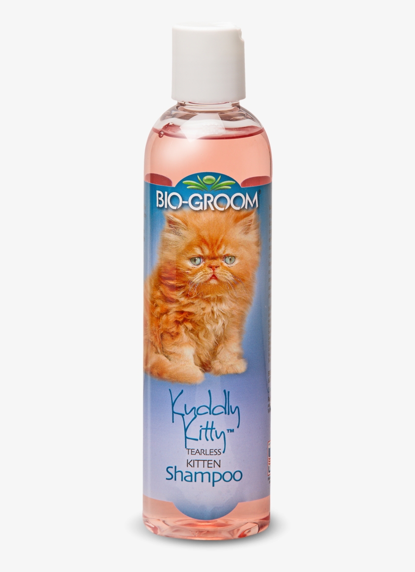 Kuddly Kitty™ - Bio-groom Groom N Fresh Cond Shampoo 12oz, transparent png