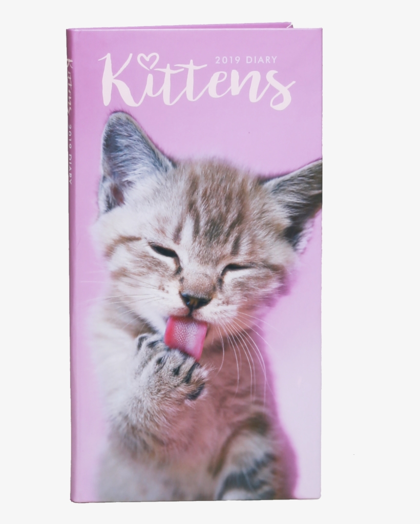 Kittens Teach Us 2018 Wall Calendar, transparent png