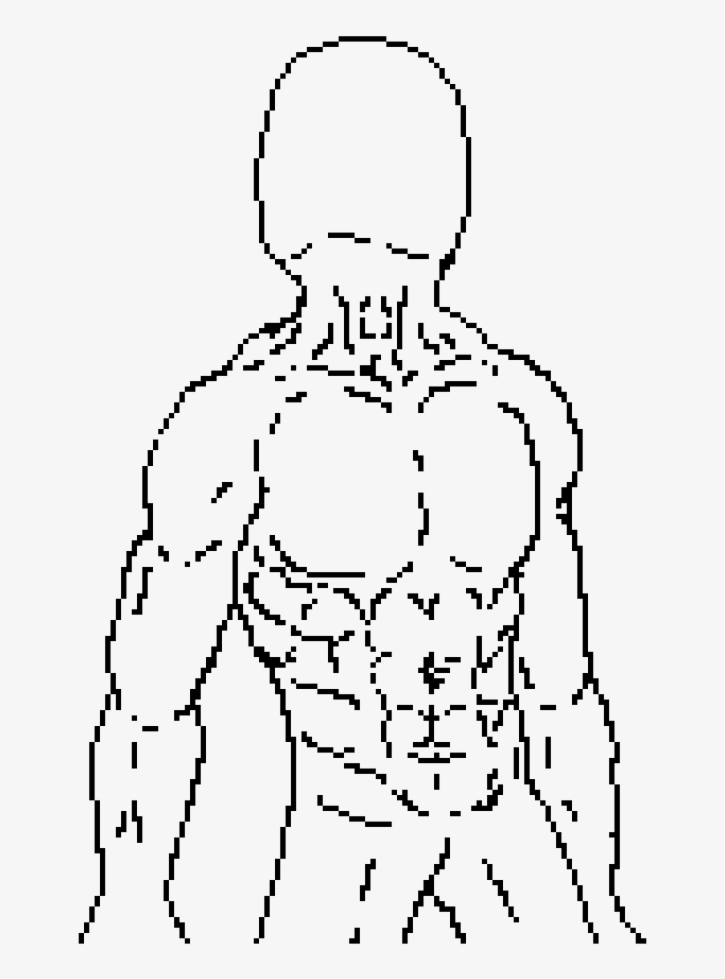 Body Outline - Squirtle, transparent png
