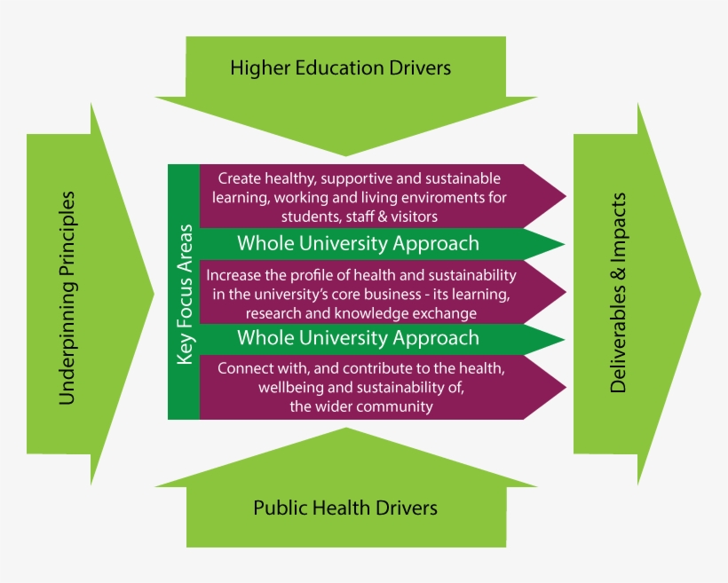 Model & Framework For Action - Paper, transparent png