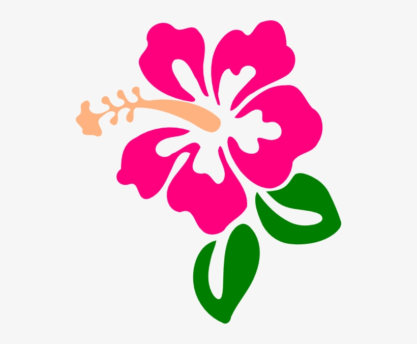 Hibiscus 9 Svg Clip Arts 522 X 596 Px, transparent png