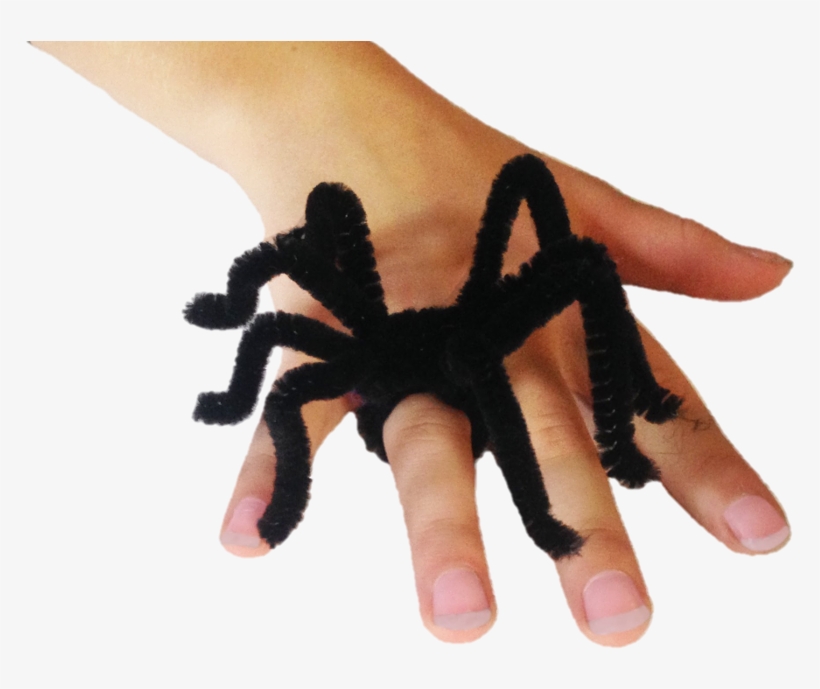 Bend It They Way You'd Like Your Spiders To Look Like - Halloween Crafts With Pipe Cleaners, transparent png