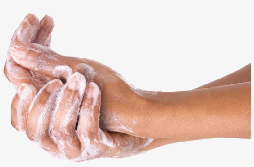 Washing Hands Png - Washing Hands Transparent, transparent png