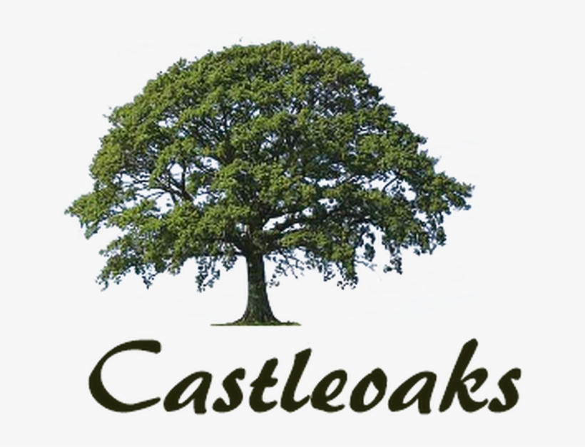 Castle Oaks, Dublin Road, Carlow Town, Co, transparent png