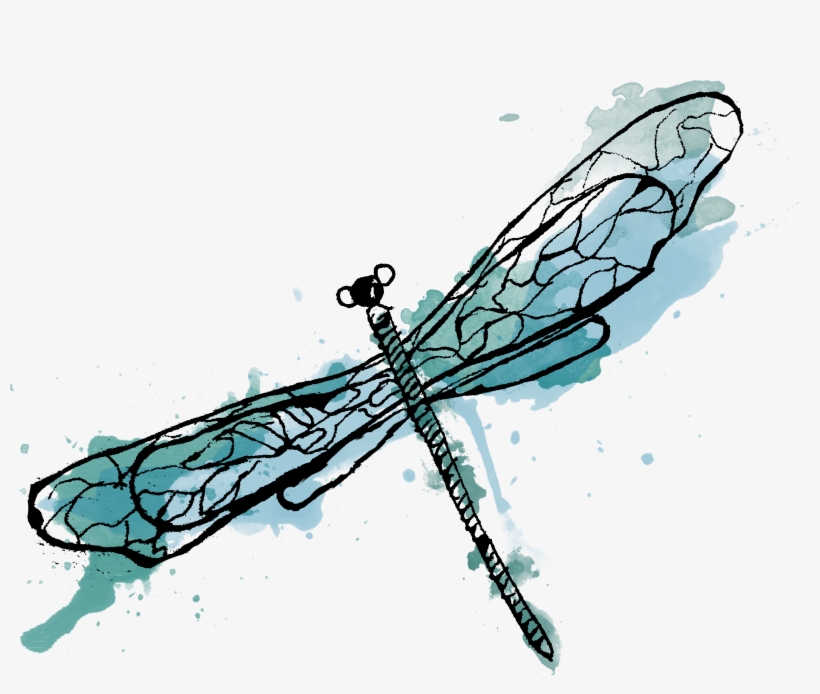 Com Static 580c346b2e69cf2049e88308 T 58d96f891e5b6c510e99b25a - Dragonfly, transparent png