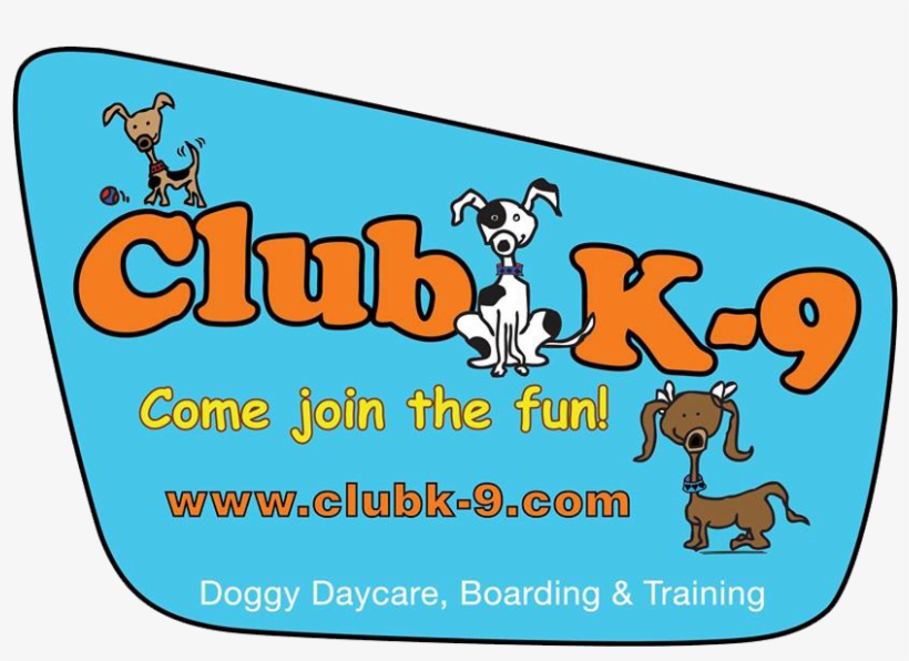 Logo, transparent png