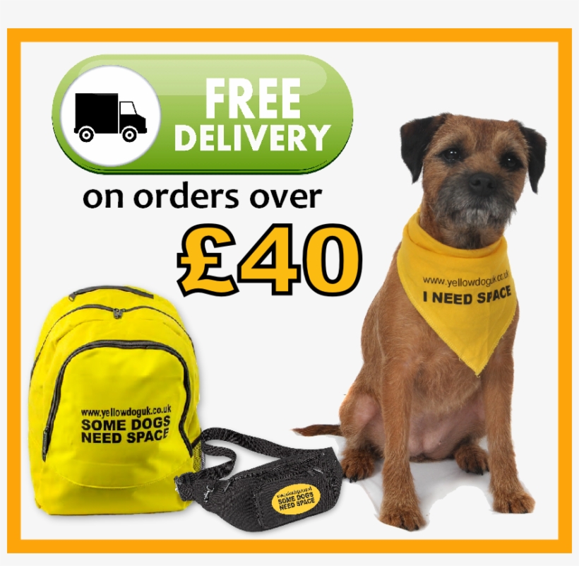 Newsletter - Subscribe - Yellow Dog I Need Space, transparent png