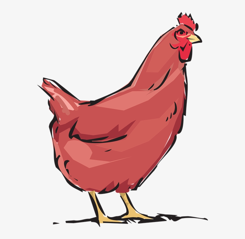 Chicken Cliparts Black 23, Buy Clip Art - Hen Clipart, transparent png