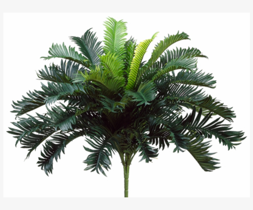 25" Cycas Palm Bush X35 - 25" Artificial Cycas Palm Bush, transparent png