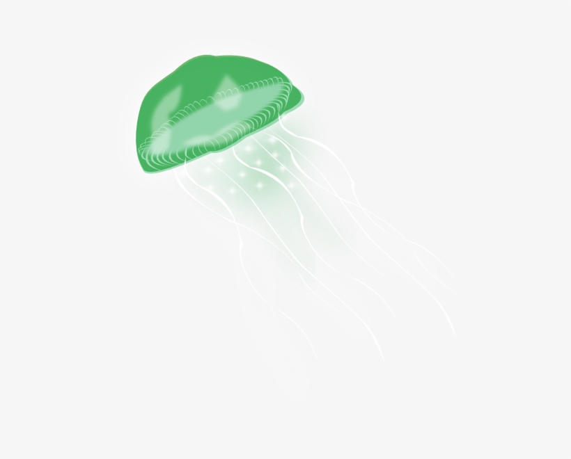 Jellyfish Png, transparent png