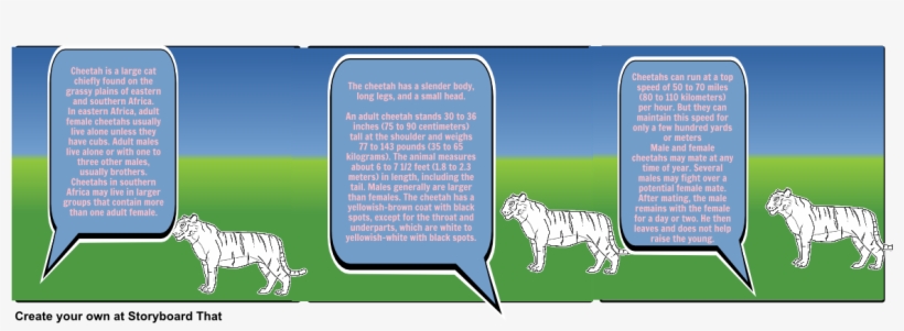 Choose How To Print This Storyboard - Siberian Tiger, transparent png
