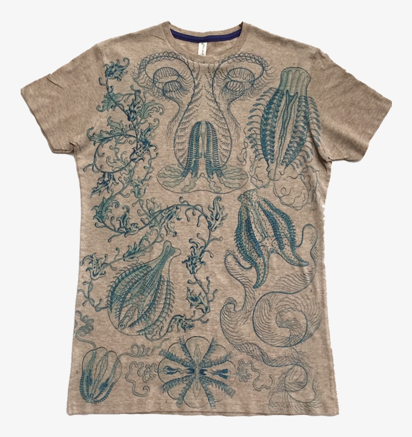 Jellyfish - Asheville Apparel - Ctenophorae Nature By Ernst Haeckel Art Print 24 X, transparent png