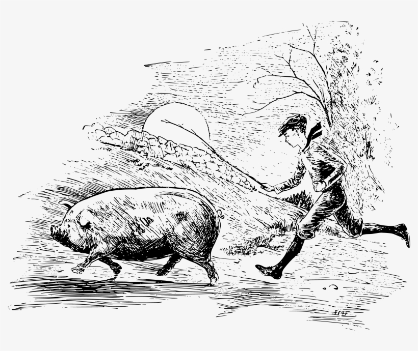 A Boy Running Behind A Pig With A Stick - Pig, transparent png