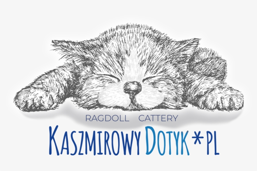 Nellie Snellen Kitten, transparent png