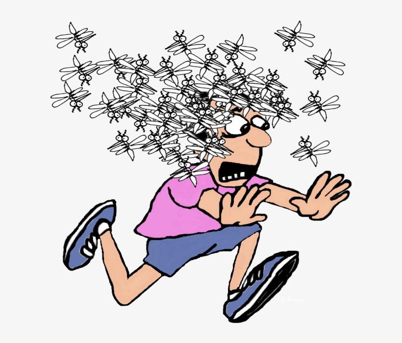 Mosquito Attack, transparent png