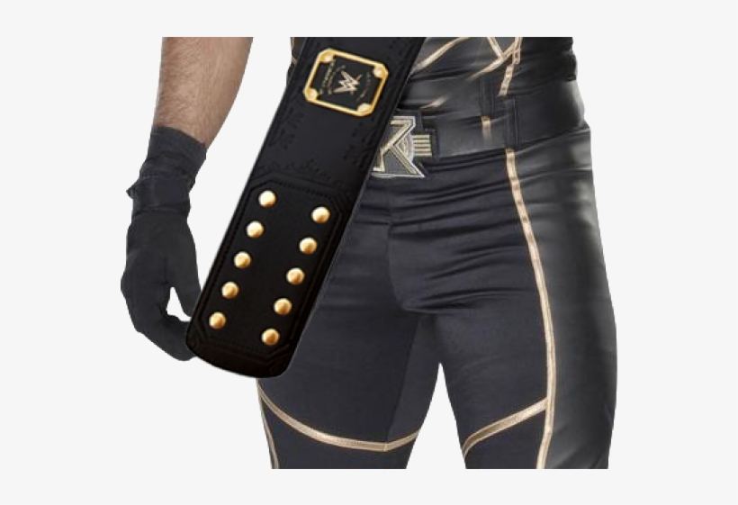 Seth Rollins Png Transparent Images - Download Photo Seth Rollins, transparent png