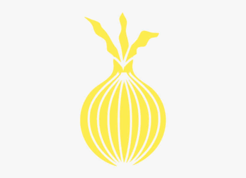 Onion - Illustration, transparent png