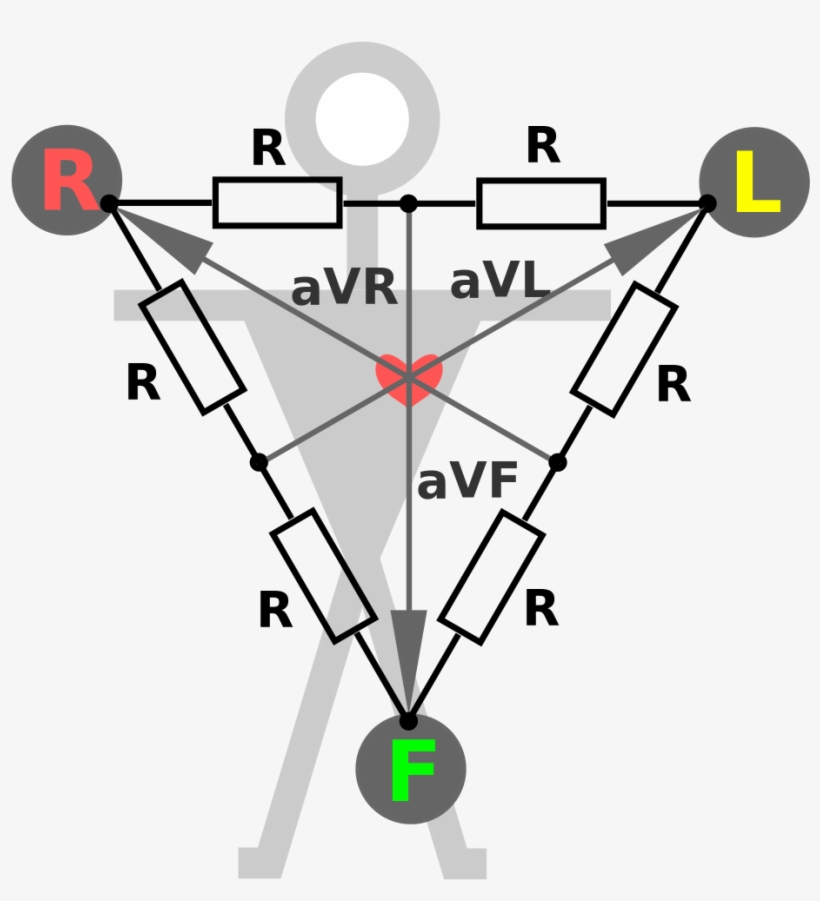 Open - Ekg Princip, transparent png