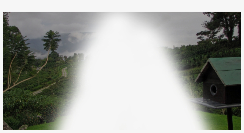 Abyss Bg Mask - Palm Tree, transparent png