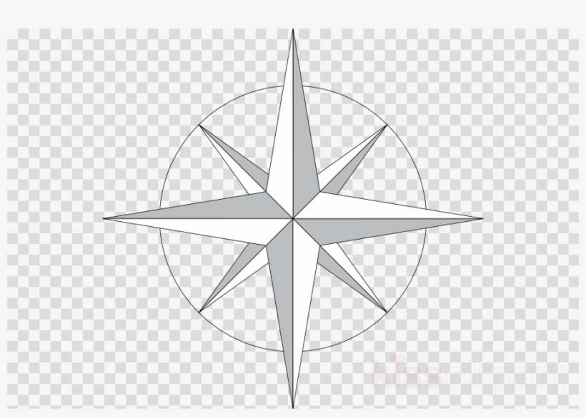 Barn Spider, transparent png