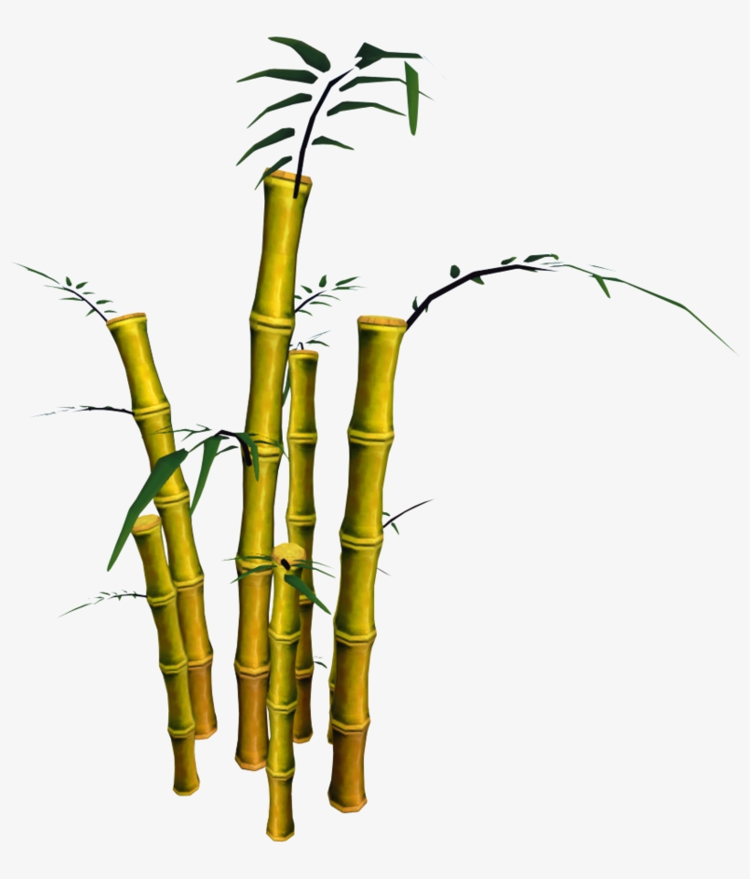 Bamboo Png, Download Png Image With Transparent Background, - Bamboo, transparent png