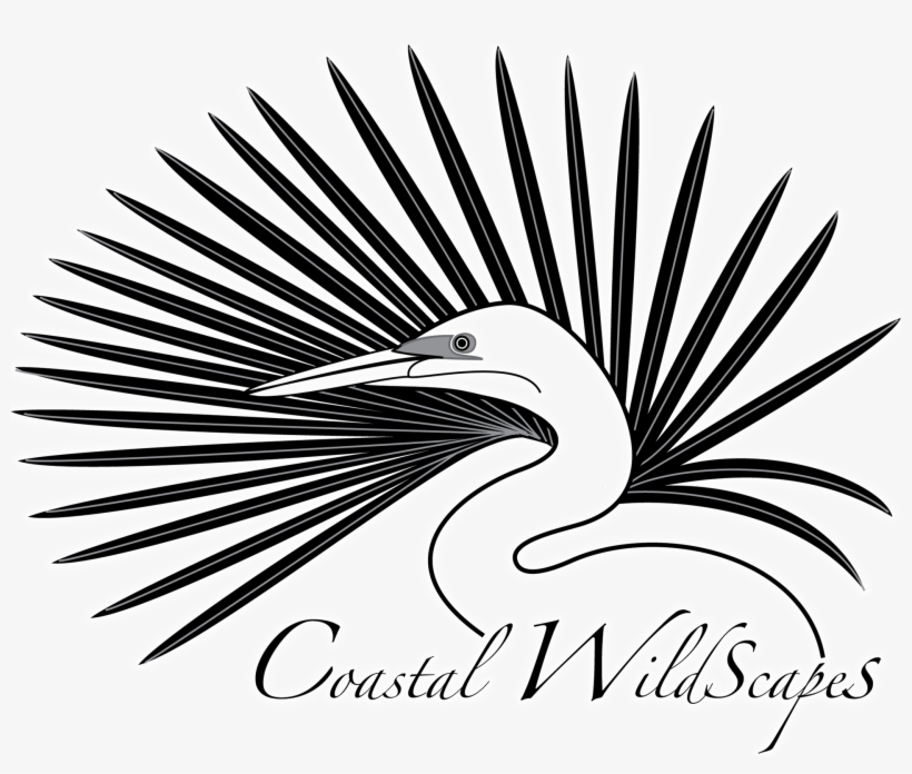 Banner Download Coastal Wildscapes Home - Coastal Wildscapes, transparent png