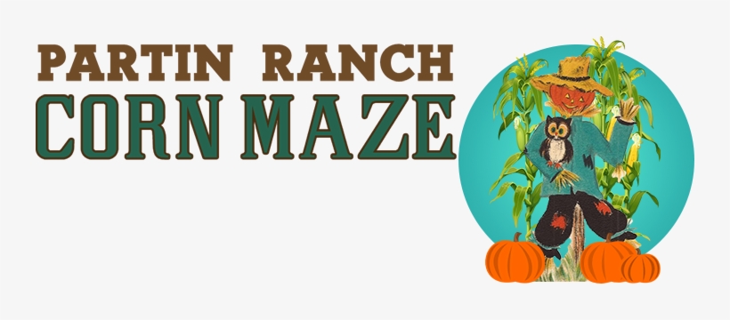 Pumpkin, transparent png