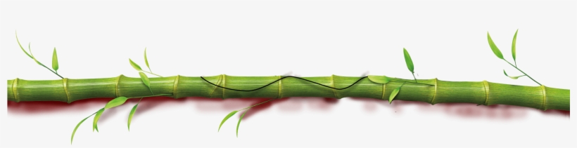 Kung Fu Panda © 2017 Dreamworks Animation Llc - Kung Fu Panda Bamboo, transparent png