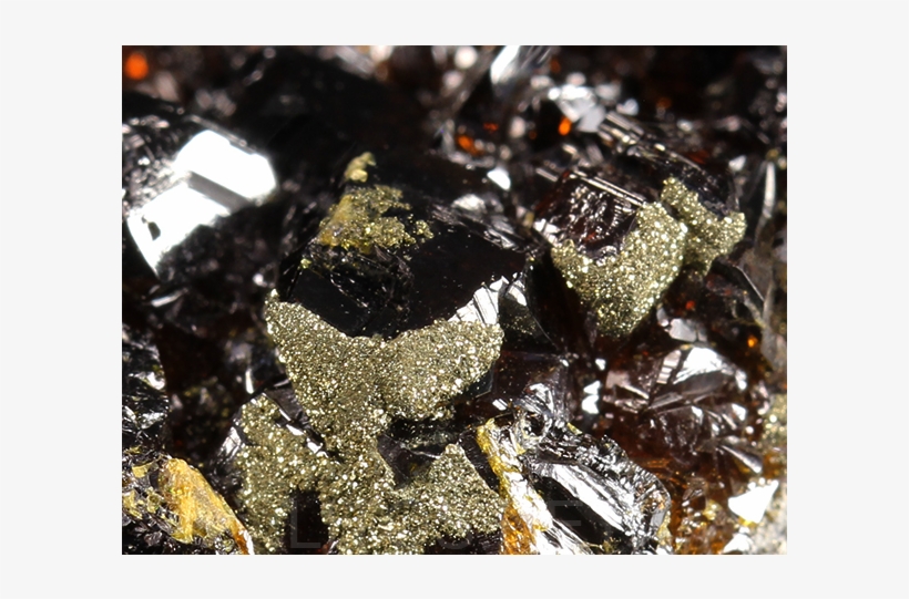 Blenda - Eye Shadow, transparent png