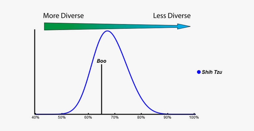 Boo's Homozygosity Score Falls Within The Range That - Diagram, transparent png