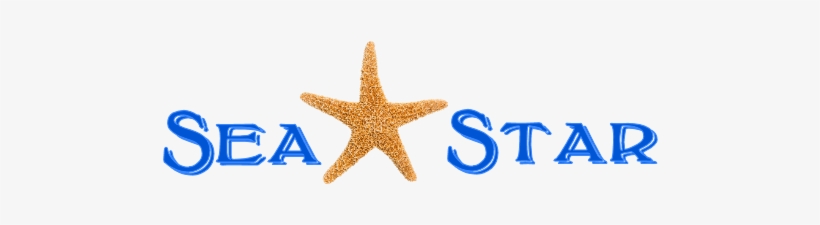 Total Downloads - Starfish, transparent png