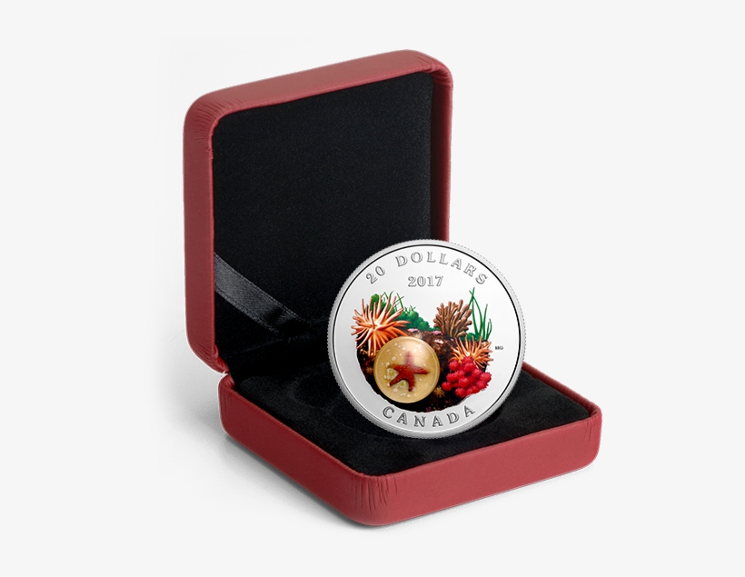 Under The Sea - 2017 Fine Silver 10 Dollar Coin - Celebrating Canada's, transparent png