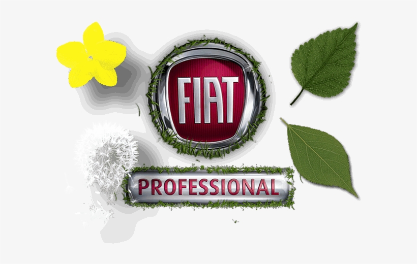 Fiat Panda Window Trim, transparent png